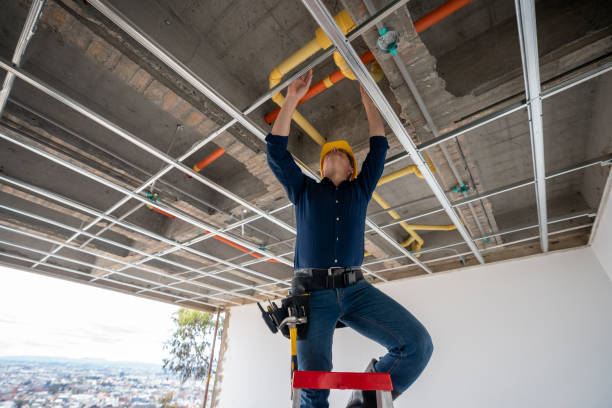 Best Plumbing Inspection Services  in Westchase, FL